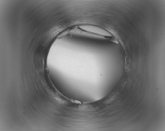 X0000078300109200611172158