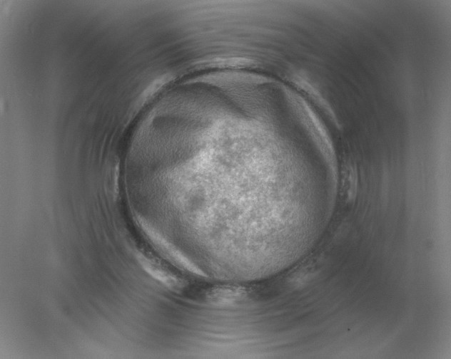 X0000078300110200611172158