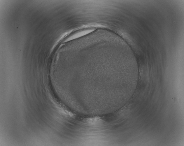 X0000078300112200611172158