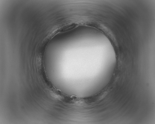 X0000078300113200611172158