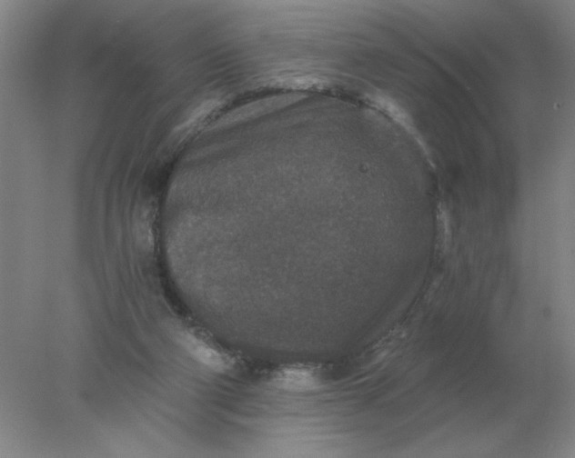 X0000078300114200611172158