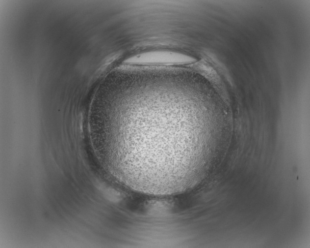 X0000078300115200611172158