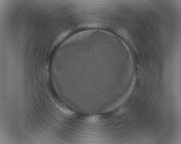 X0000078300116200611172158