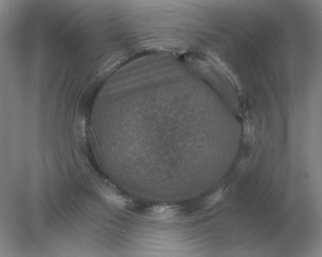 X0000078300117200611172158