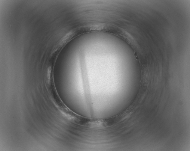 X0000078300118200611172158