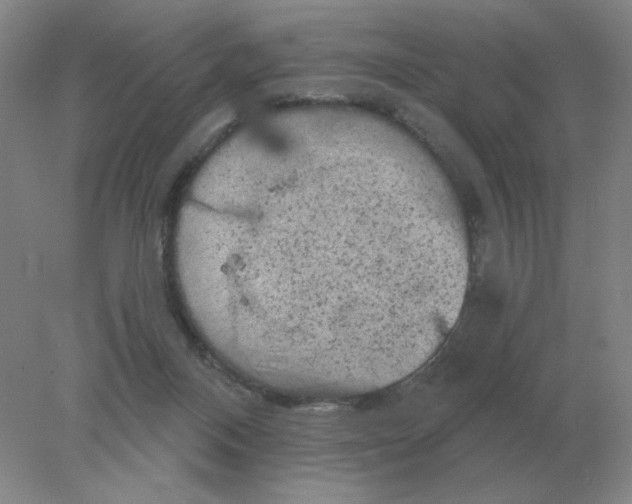 X0000078300120200611172158