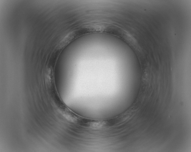 X0000078300122200611172158