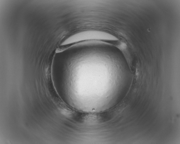 X0000078300123200611172158