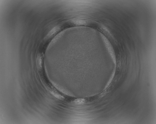 X0000078300124200611172158