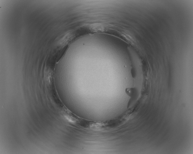 X0000078300125200611172158