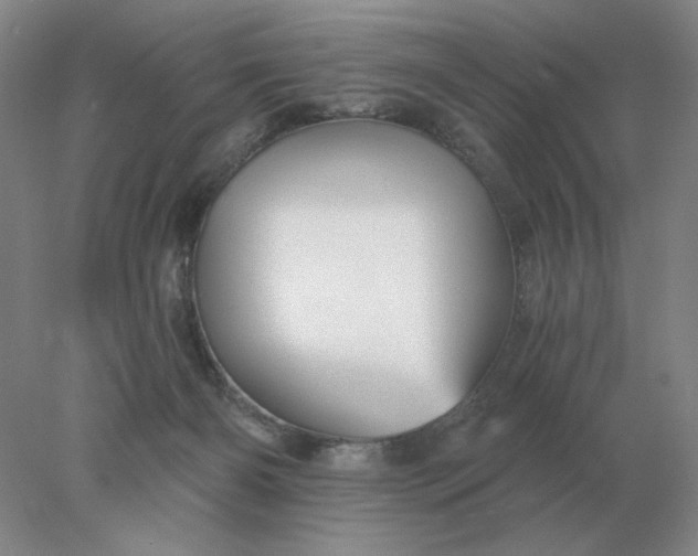 X0000078300126200611172158