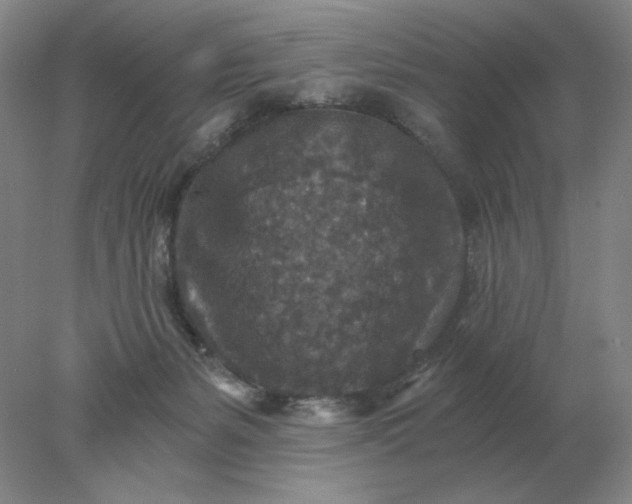 X0000078300127200611172158