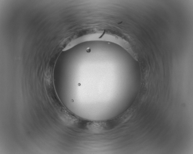 X0000078300129200611172158