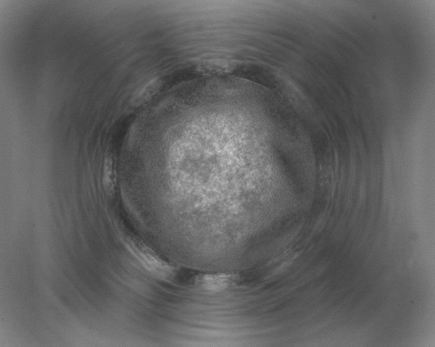 X0000078300134200611172158