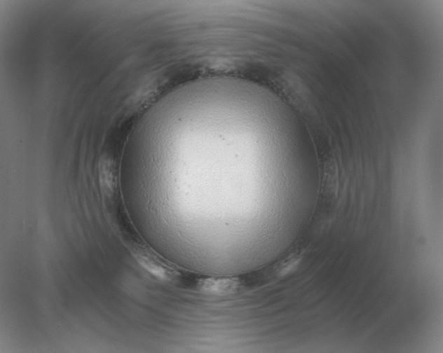 X0000078300135200611172158