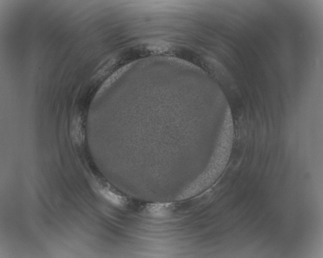 X0000078300136200611172158