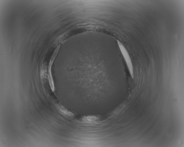 X0000078300137200611172158