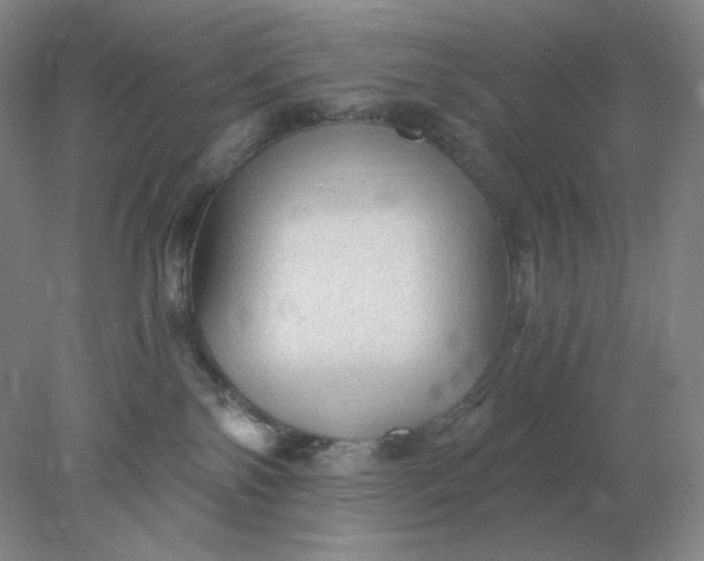 X0000078300138200611172158