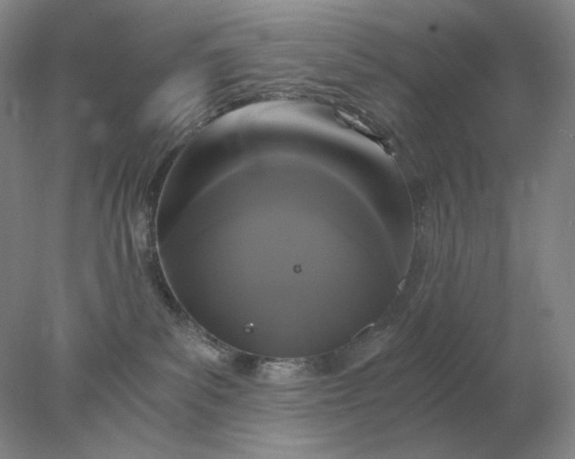 X0000078300139200611172158