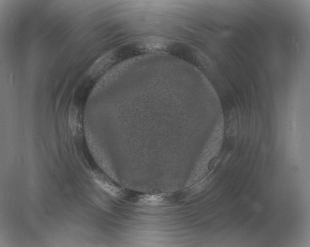 X0000078300140200611172158