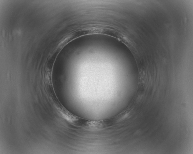 X0000078300141200611172158