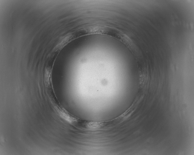 X0000078300142200611172158