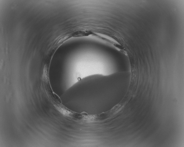 X0000078300143200611172158