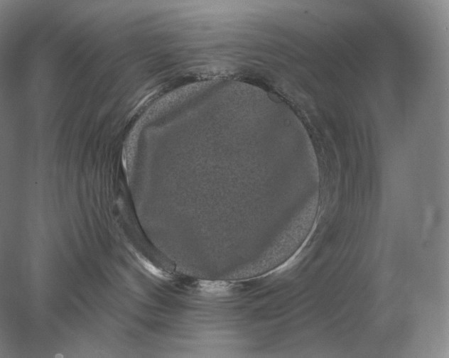 X0000078300144200611172158