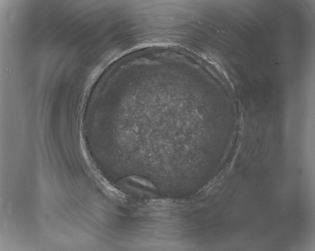 X0000078300145200611172157