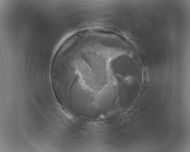 X0000078300147200611172157