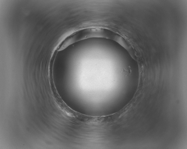 X0000078300148200611172157