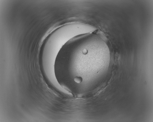 X0000078300150200611172157