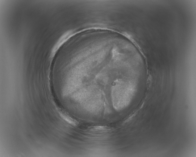 X0000078300151200611172157