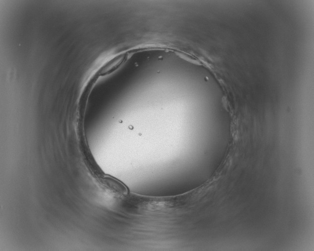 X0000078300152200611172157