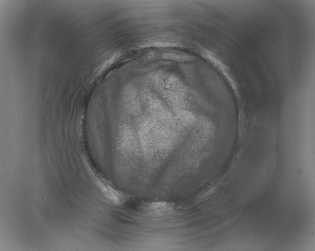 X0000078300153200611172157