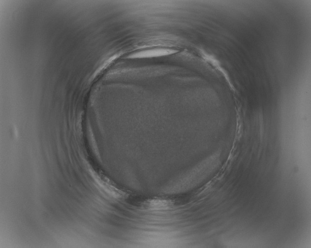 X0000078300154200611172157