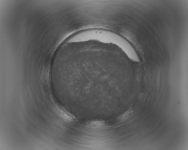 X0000078300156200611172157