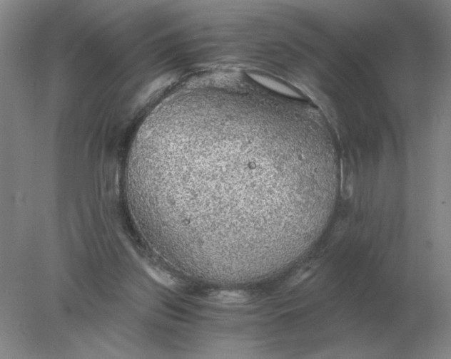 X0000078300157200611172157