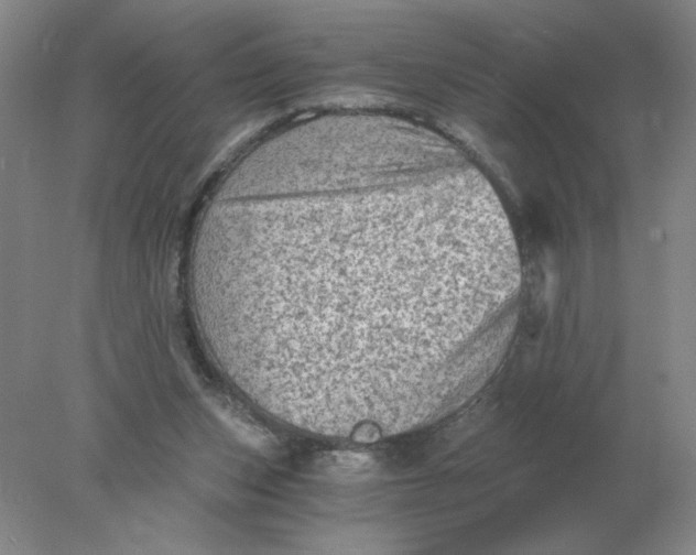 X0000078300159200611172157