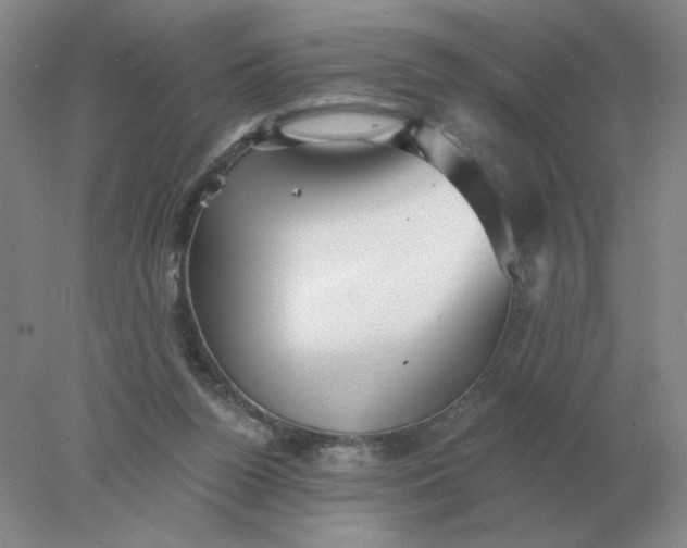 X0000078300160200611172157