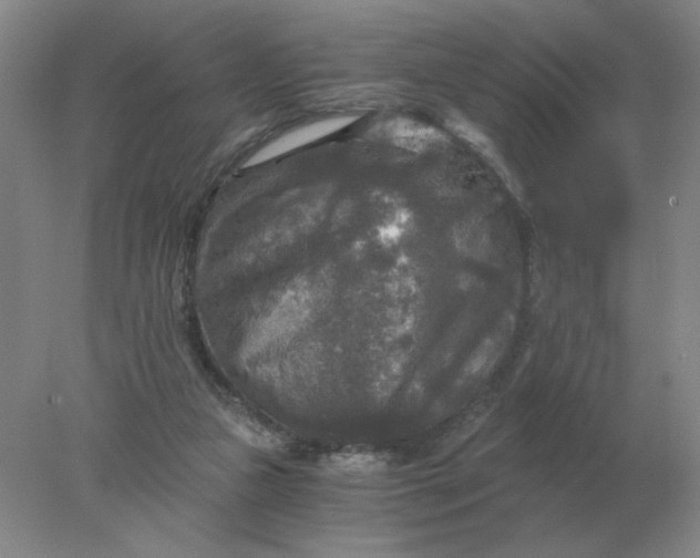 X0000078300161200611172157