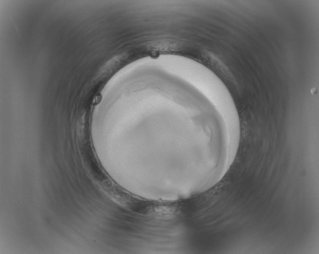 X0000078300163200611172157