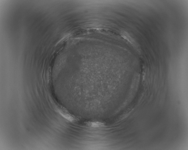 X0000078300165200611172157