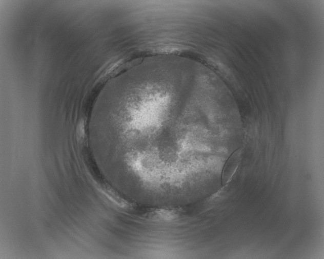 X0000078300166200611172157