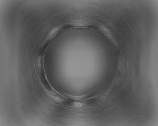 X0000078300167200611172157