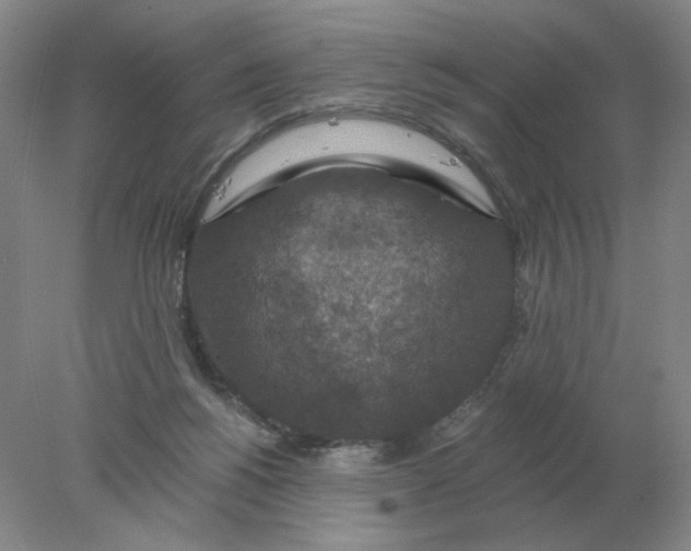 X0000078300168200611172157