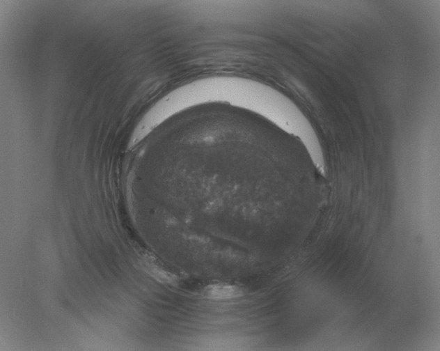 X0000078300169200611172157