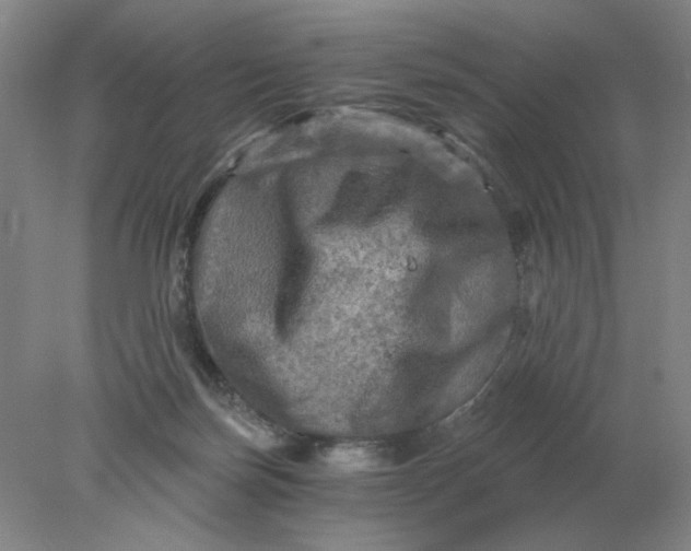 X0000078300171200611172157