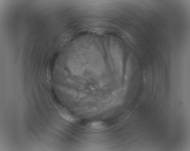 X0000078300173200611172157