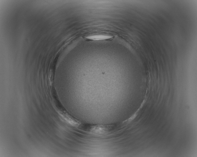 X0000078300174200611172157